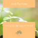 IM JUST A SEED PLANTER BY AUTHOR JERI K TORY CONKLIN